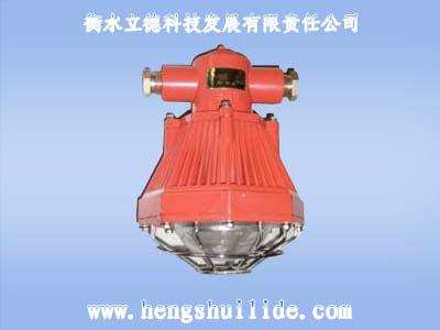 防爆燈批發(fā),機(jī)車燈哪便宜,隔爆燈價格,巷道燈哪家好